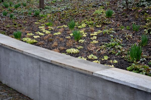 Cost of Concrete Wall Construction in Lansdale