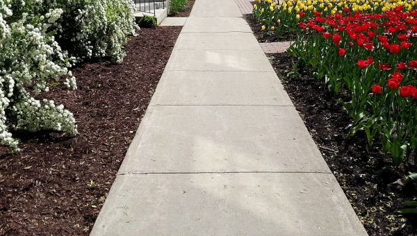 Cost of Sidewalk Concrete Replacement in Lansdale